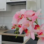 Zora וילה *